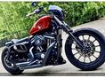HARLEY-DAVIDSON SPORTSTER 883 IRON 2013/2 - 4