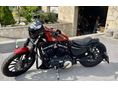 HARLEY-DAVIDSON SPORTSTER 883 IRON 2013/2 - 8