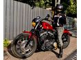HARLEY-DAVIDSON SPORTSTER 883 IRON 2013/2 - 10