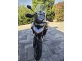 TRIUMPH TIGER 900 2025/8 - 4