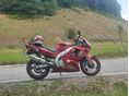 YAMAHA YZF 600 R Thundercat