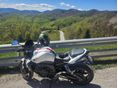 YAMAHA FZ1 2008/1 - 10