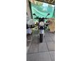 SUZUKI GSF 1200 (BANDIT) 2002 - 3