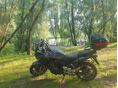 HONDA CBF 600 2004 - 2