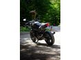 YAMAHA XJ 6 N 2010 - 5