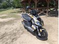PIAGGIO NRG DD 2014/7 - 5