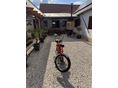 BABETTA 207 