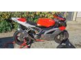 APRILIA RSV 1000 2006/5 - 2