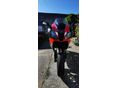 APRILIA RSV 1000 2006/5 - 4