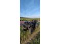 LONCIN X WOLF 700 L 2025/10 - 4