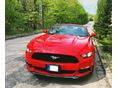 FORD MUSTANG 2016/12 - 7