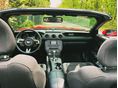 FORD MUSTANG 2016/12 - 8