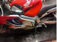 HONDA CBR 600 F4 2004 - 3