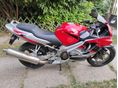 HONDA CBR 600 F4 2004 - 6