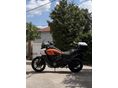 HARLEY-DAVIDSON PAN AMERICA SPECIAL 2021 - 3