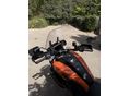HARLEY-DAVIDSON PAN AMERICA SPECIAL 2021 - 5