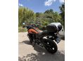 HARLEY-DAVIDSON PAN AMERICA SPECIAL 2021 - 6