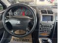 PEUGEOT 407 2004/8 - 10