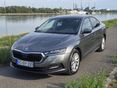 SKODA OCTAVIA 2024/3 - 2