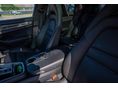 PORSCHE PANAMERA 2019/4 - 9