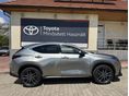 LEXUS NX 2025/7 - 2