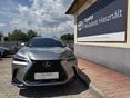 LEXUS NX 2025/7 - 6