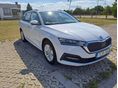 SKODA OCTAVIA 2022/2 - 2