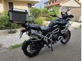 TRIUMPH TIGER 1200 2023/11 - 7