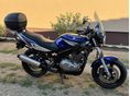 SUZUKI GS 500 E 2007/7 - 5