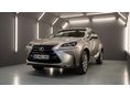 LEXUS NX 300h Prestiege CVT
