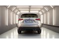 LEXUS NX 2017/1 - 11