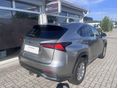 LEXUS NX 2018/8 - 3
