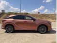 LEXUS RX 2024/6 - 10