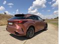 LEXUS RX 2024/6 - 6