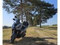 HONDA ADV 350 