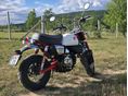 HONDA Z 125 MONKEY 2024 - 2