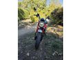 HONDA Z 125 MONKEY 2024 - 5
