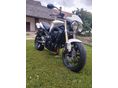 TRIUMPH STREET TRIPLE 675 2008/7 - 3