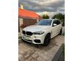 BMW X5 xDrive40e iPerformance (Automata) M packett. 313 LE. LED