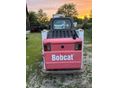 BOBCAT 2006 - 2