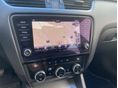 SKODA OCTAVIA 2019/2 - 5