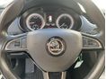 SKODA OCTAVIA 2019/2 - 6