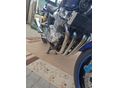 YAMAHA XJR 1300 2005/6 - 4