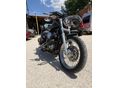 HARLEY-DAVIDSON SPORTSTER 883 2009/6 - 4