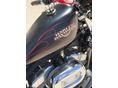 HARLEY-DAVIDSON SPORTSTER 883 2009/6 - 10
