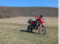 HONDA CRF 300 L 2025/9 - 6