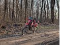 HONDA CRF 300 L 2025/9 - 7