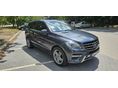 MERCEDES-BENZ ML 250 