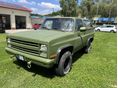 CHEVROLET BLAZER 1991/8 - 2