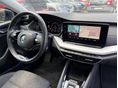 SKODA OCTAVIA 2022/1 - 10